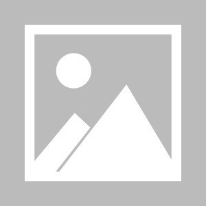 澳门新葡京娱乐城网站-【早报】英超争五集团集体刹车